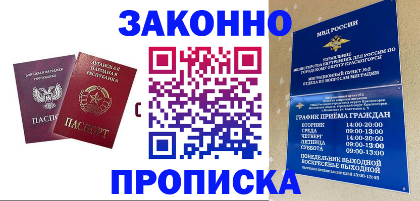 прописка в Новозыбкове
